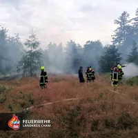Waldbrand_Altenschneeberg-02.jpg