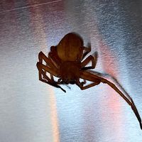 04-20200909_spinne.jpg