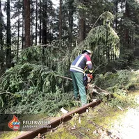 20230621 Unwetter im gesamten Lkr. Cham 5.jpg