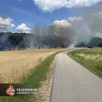 20230720 Brand Freifläche in Wald.jpg