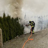 03-20201209-heckenbrand.jpg