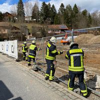 04-20210327-koz.jpg
