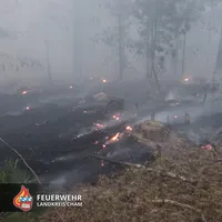 20260527 Waldbrand 13.jpg
