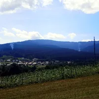 06-20210812_kaferholz_arrach.jpg
