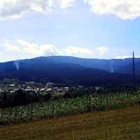 06-20210812_kaferholz_arrach.jpg