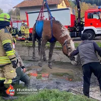 20240424 Großtierrettung Kaitersbach KÖZ.jpg