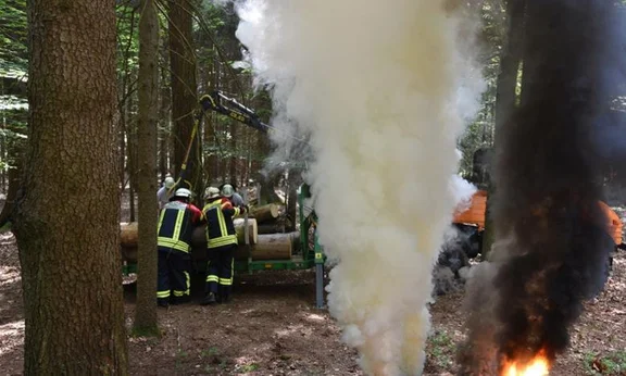 mz-16.jpg