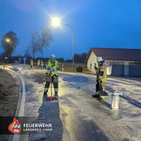 20250312 THL1 Michelsneukirchen.jpg