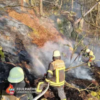 20250410 Waldbrand 4.jpg