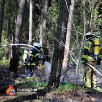 01-20220511-waldbrand_wilting.jpg