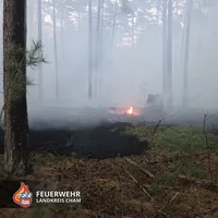 20260527 Waldbrand 3.jpg
