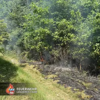 20260527 Waldbrand 23.jpg