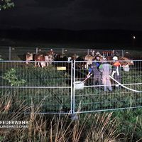 20220816-b5-birkhof-10.jpg