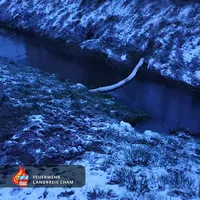 15_-_20220402_-_dalking_ol_auf_gewasser.jpg