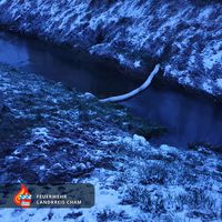 15_-_20220402_-_dalking_ol_auf_gewasser.jpg