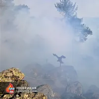 20250410 Waldbrand 1.jpg