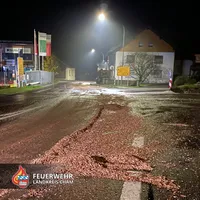 07-20221122-hackschnitzel_oberndorf.jpg