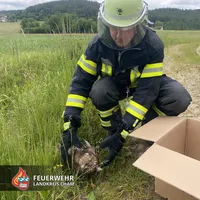 Einen verletzten.JPG