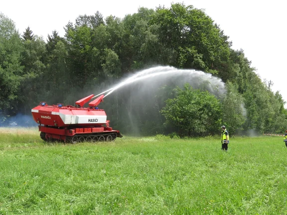waldbrand_18.jpg