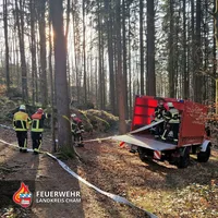 20250410 Waldbrand 6.jpg