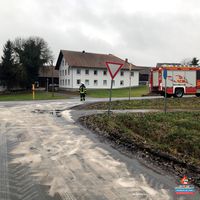 01-20211122_olspur_traitsching.jpg