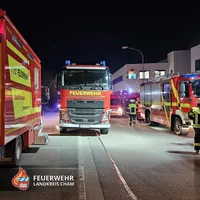 02-20240110-ABC-Einsatz Roding.jpg