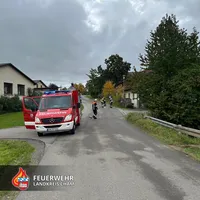 20251008_THL1 Pitzling.jpg