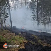 20260527 Waldbrand 1.jpg