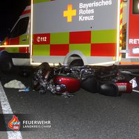 04-20220804-vu_fichten.jpg