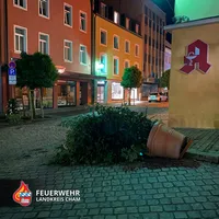 06-20220714-blumenkubel_cham.jpg