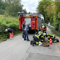 05-20210906-kleintierrettung_koz.jpg