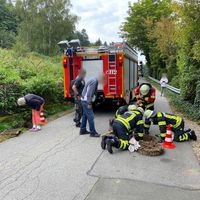 05-20210906-kleintierrettung_koz.jpg