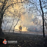 20220805-flachenbrand_hanzing_05.jpg