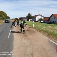 10-20200919-wald.jpg