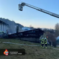 brand-koez-7.jpg