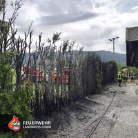 20240906 B3 Neukirchen b.Hl.Blut 2.jpg