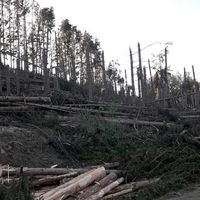 07-20200728_unwetter.jpg