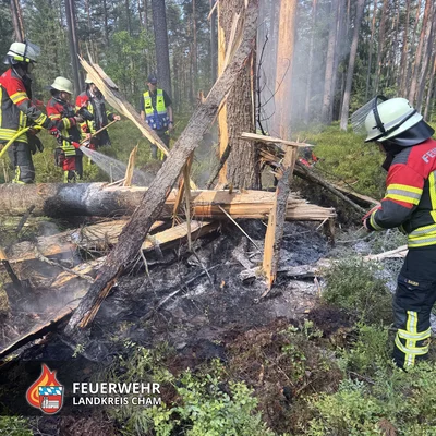 01-20260817 Brand Wald Strahlfeld.jpg