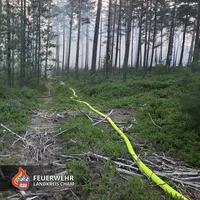 20260527 Waldbrand 2.jpg