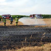 03-20210727_brand_stoppelfeld_heid.jpg