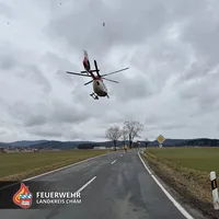 20260215 Wochenbericht 10.jpg