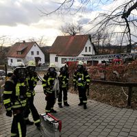 06-20210327-rauch_wum.jpg