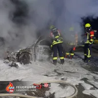 20251009 PKW Brand Trasching 1.jpg