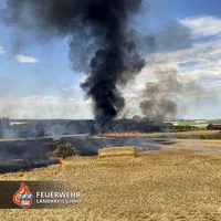 02-20230708-Brand Ronberg.jpg