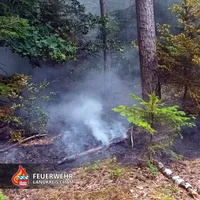 03-20230619-Waldbrand Reishof Schorndorf.jpg