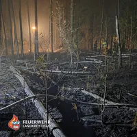 20260527 Waldbrand 5.jpg