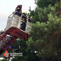 09-20220629-tierrettung_zenching.jpg