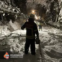 20231201-20231202 Wintereinbruch LKR Cham - 3.jpg