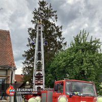 07-20220526-baum_rotz.jpg