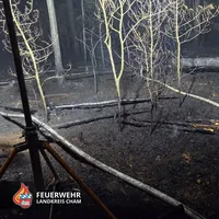 20260527 Waldbrand 4.jpg